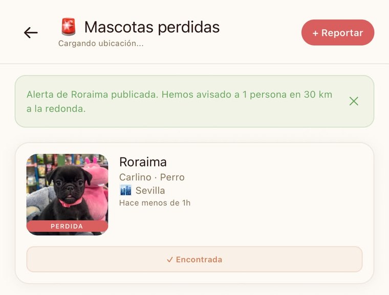 Alerta de mascota perdida publicada en la app
