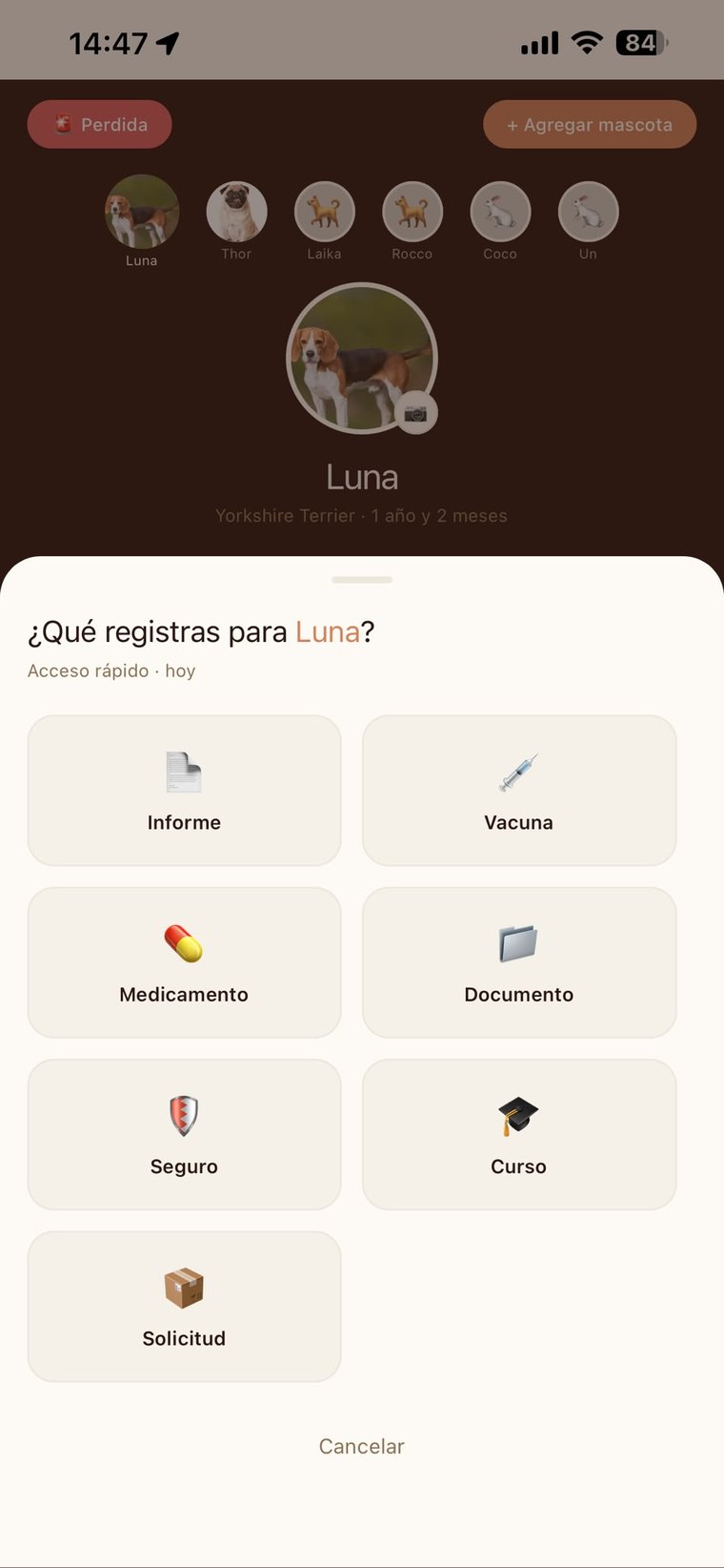 Hoja de registro rapido: informe, vacuna, medicamento, documento, seguro, curso y solicitud